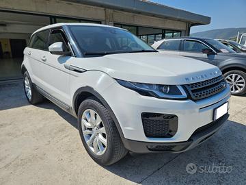 Land Rover Range Evoque 2.0 TD4 150 CV 5p. Busines