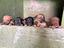 Immagine 1