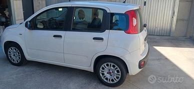 Panda 1.2 benz./gpl