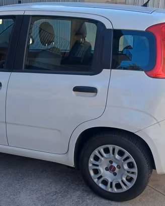 Panda 1.2 benz./gpl