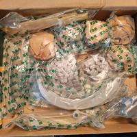 kit catena distribuzione Freelander1motore 204d3