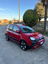 Panda Cross S&S
