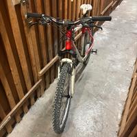 Lee cougan out back 26"