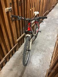 Lee cougan out back 26"