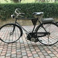 Mosquito bianchi