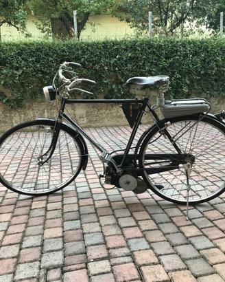 Mosquito bianchi