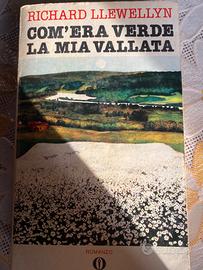 Libro “Com’era verde la mia vallata”