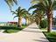 Immagine 18
