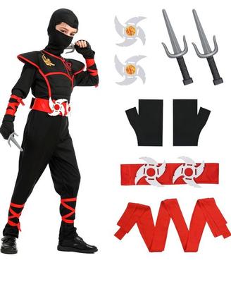 Costume ninja