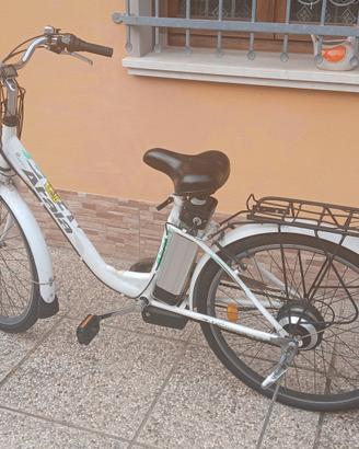bici elettrica