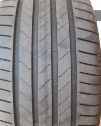 gomme estive