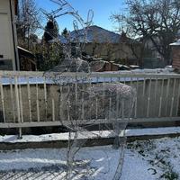 addobbo natale renna luminosa