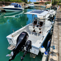 Barca robalo 2120