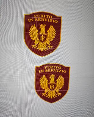 Coppia di spille ferito in servizio
