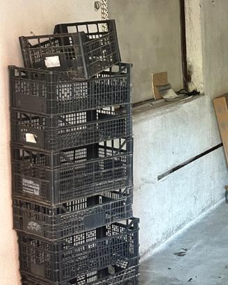Cassette di plastica