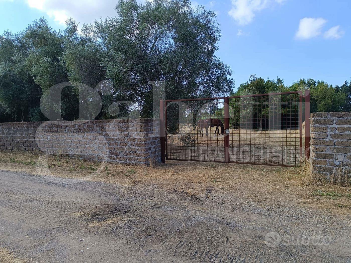 Terreno Agricolo Nettuno [Cod. rif ROCCA PRIORVCG] - More