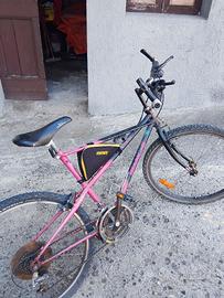 Bicicletta rampichino