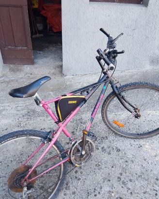 Bicicletta rampichino