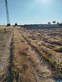 Terreno Agricolo 