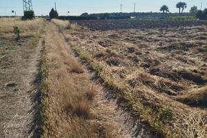Terreno Agricolo 
