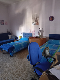 Stanza in condivisione,disponibilità immediata