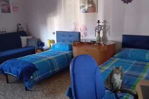 Stanza in condivisione,disponibilità immediata