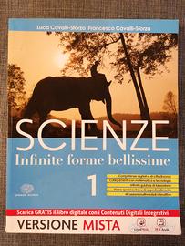 Scienze infinite forme bellissime 1