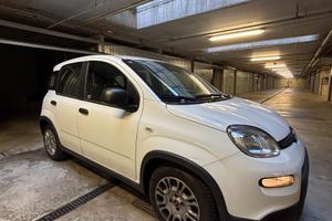 Panda hybrid 2023