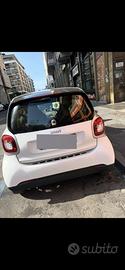 Smart 2015
