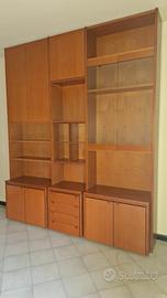 Libreria / mobile con ante in legno e vetro