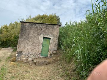 Vendita terreno agricolo con deposito attrezzi