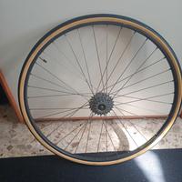 ruota posteriore completa ambrosio Montreal 