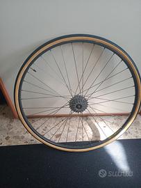 ruota posteriore completa ambrosio Montreal 