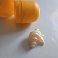 sorpresa merendine conchiglia 