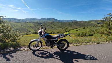 RICERCO plastiche/ adesivi Beta alp 4.0 