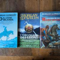 Romanzi Morgan Llywelyn