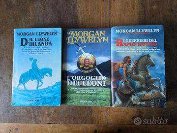Romanzi Morgan Llywelyn