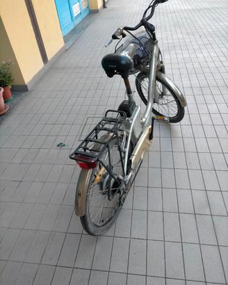 bici pedalata assistita