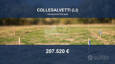 Immobile in asta di 34551 m² a Collesalvetti