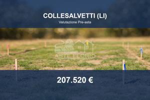 Immobile in asta di 34551 m² a Collesalvetti