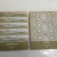 lotto 2 libri capire l'Italia TCI Città Paesaggi 