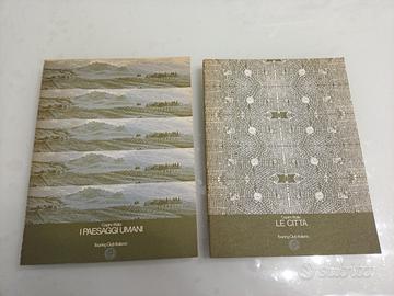 lotto 2 libri capire l'Italia TCI Città Paesaggi 