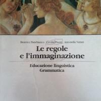 LE  REGOLE E L'IMMAGINAZIONE 