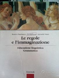 LE  REGOLE E L'IMMAGINAZIONE 