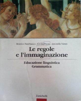 LE  REGOLE E L'IMMAGINAZIONE 