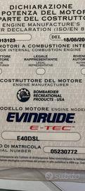 Motore fuoribordo 
