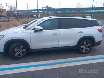 SKODA KODIAQ 07 POSTI DIC'24