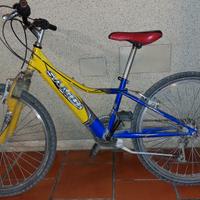 Bici mtb  Sambi 24'