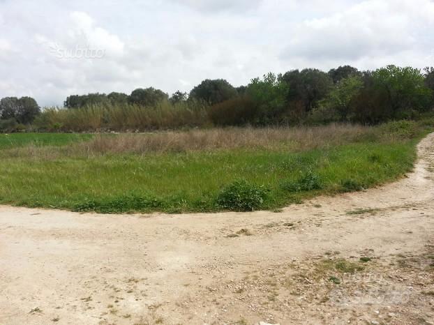 Terreno agricolo - Vista 4