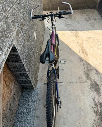 Bici.